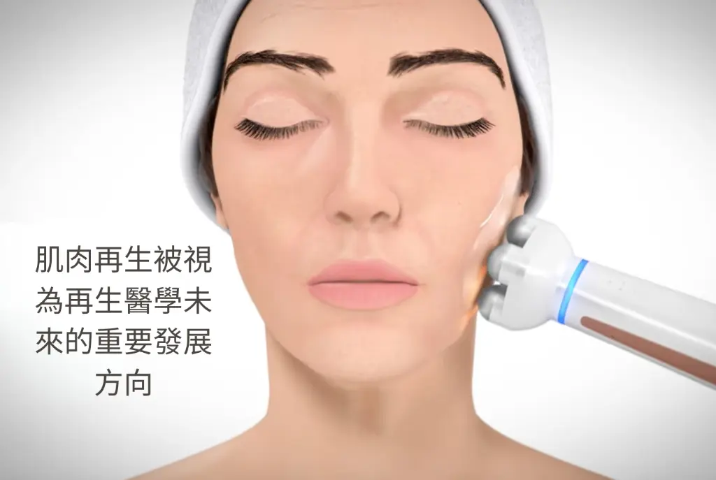 【Facial Definition】_4_zh_cn.webp